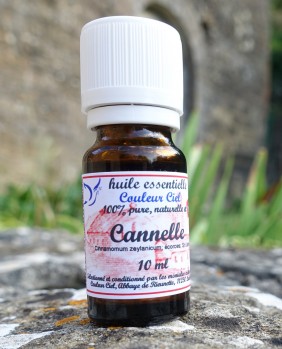 Huile essentielle Biologique de Cannelle écorce - L'essentiel en