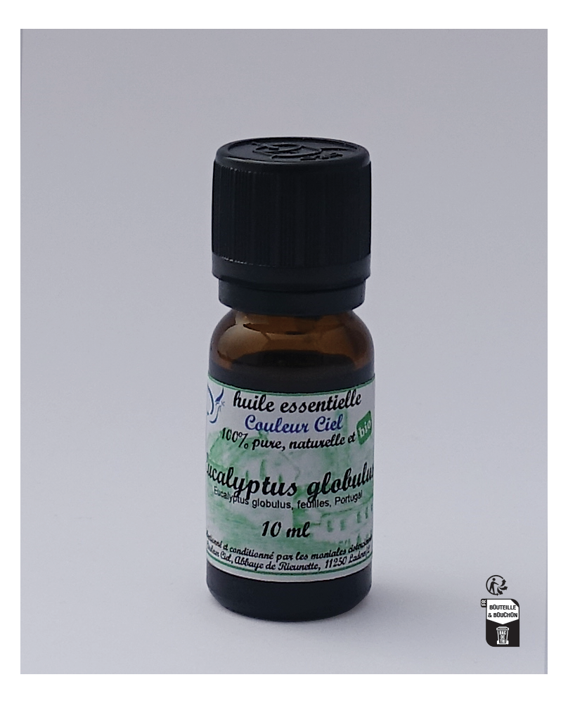 Eucalyptus Globulus BIO Huile Essentielle