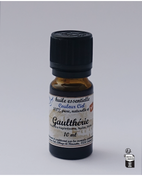 GAULTHERIE (Wintergreen) -...