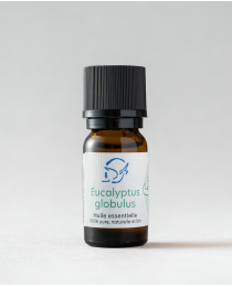 EUCALYPTUS GLOBULUS - Huile...